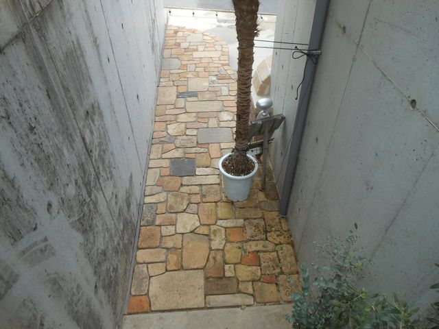 アプローチ　階段上から