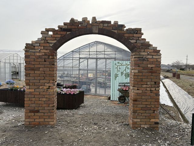 正面